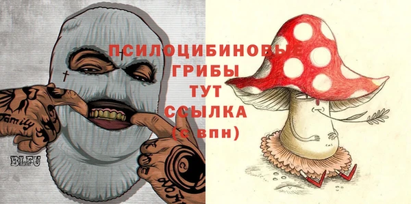 амф Абдулино