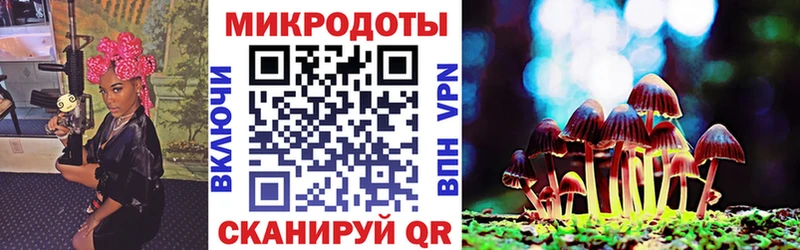 дарнет шоп  Пошехонье  Псилоцибиновые грибы Magic Shrooms 